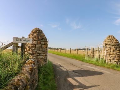 A rural road entrance with stone gateposts and a white metal gate with sheep in a field beyond at Todridge