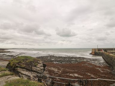 A rocky coastal area with a stone pier and seaweed on the shore at Old Field Hideaway Slade near Fethard-On-Sea County Wexford