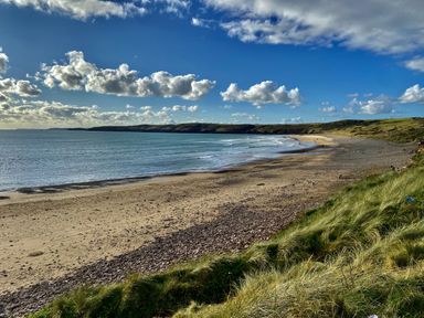 A beach scene with waves and grass at Tower Cottage Near Pembroke