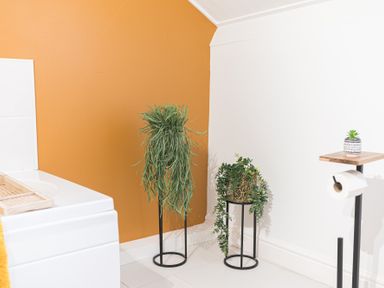 A corner of a bathroom with two plants on metal stands and a toilet paper holder with a small plant at 8 Corkickle in Whitehaven