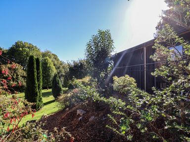 A garden with various shrubs and trees near a building under a clear blue sky at Sir George Baker Cabin in Uplyme