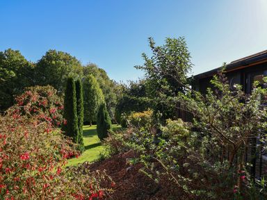A garden with various shrubs and trees next to a building at Sir George Baker Cabin in Uplyme