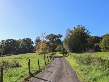 A winding country road with fences and trees on both sides under a clear sky at Sir George Baker Cabin in Uplyme