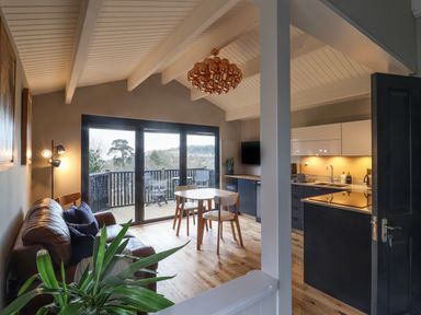 An open living and kitchen area with a leather sofa a dining table and chairs a large glass door leading to a balcony and a kitchen with cabinets at Sir George Baker Cabin in Uplyme