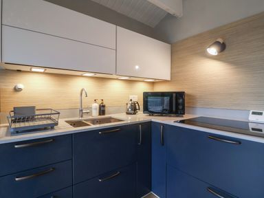 A kitchen corner with sink dish rack microwave kettle and stovetop at Sir George Baker Cabin in Uplyme