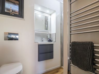 A bathroom with a toilet sink mirror and towel on a radiator at Sir George Baker Cabin in Uplyme