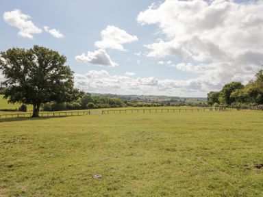A field with a tree and fence at Keepers Barn in Bromyard