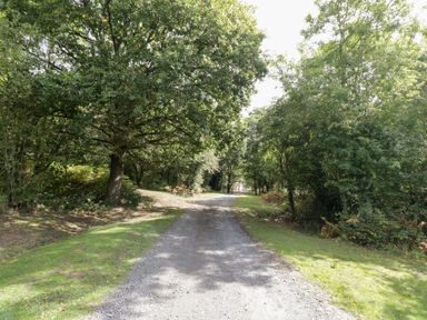 A path surrounded by trees and grass at The Cow Shed in Bromyard