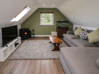 A living room with a gray sectional sofa green pillows a wooden coffee table a flat screen tv a small fireplace and a fish tank at Shore Road in Culdaff County Donegal