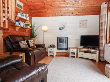 A living room with dark leather sofas a wall-mounted electric fireplace a television on a stand and wooden walls at Trout River Retreat Clifford Bridge near Moretonhampstead