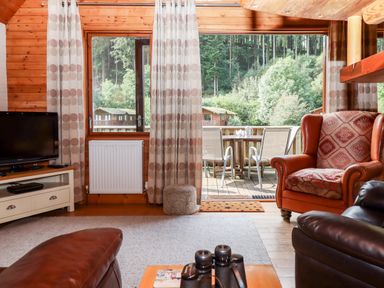 A living room with leather and patterned armchairs a tv on a stand and a sliding door opening to a deck with patio furniture at Trout River Retreat Clifford Bridge near Moretonhampstead