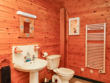 A bathroom with a toilet sink mirror towel holder and radiator at Trout River Retreat in Clifford Bridge near Moretonhampstead