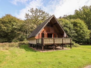 A wooden cabin with a raised porch on a grassy area surrounded by trees at Trout River Retreat in Clifford Bridge near Moretonhampstead