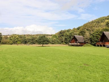 A large grassy field with two wooden cabins and trees in the background at Trout River Retreat in Clifford Bridge near Moretonhampstead