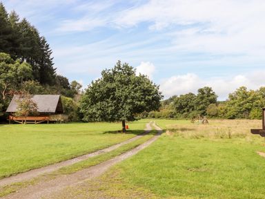 A gravel path with a tree in the middle and a wooden cabin on the left in a grassy field at Trout River Retreat in Clifford Bridge near Moretonhampstead
