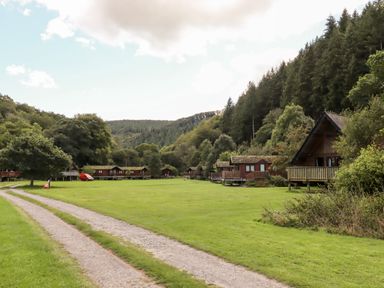 A gravel path leading to wooden cabins surrounded by grass and trees at Trout River Retreat in Clifford Bridge near Moretonhampstead