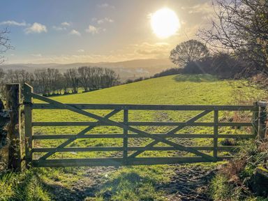 A wooden gate leading to a grassy field with trees and hills under a bright sun at Trout River Retreat Clifford Bridge near Moretonhampstead