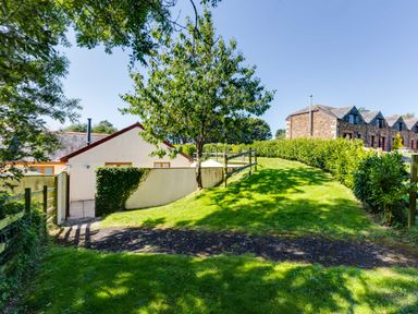 A grassy garden area with a small tree and two houses in the background at Chy Pol in St Minver
