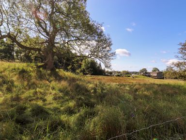 A grassy field with a large tree and houses in the distance at Silver How in Ambleside
