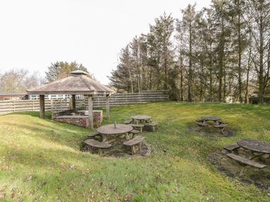 An outdoor area with wooden picnic tables and a covered brick grill at Matfen in Longframlington