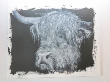 A painting of a highland cow on a dark background at Matfen in Longframlington