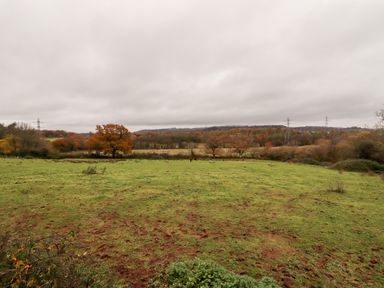 A green field with scattered trees and power lines under a cloudy sky at Fern Cottage in St Brides-Super-Ely