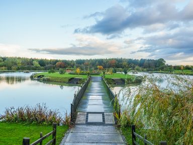 A wooden bridge over water leading to a grassy island with trees and steps at Micklemore Lakes and Lodges in North Thoresby