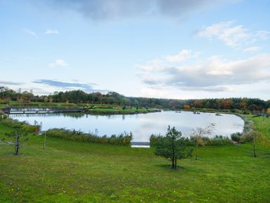 A grassy area with small trees near a pond with a wooden bridge at Micklemore Lakes and Lodges in North Thoresby
