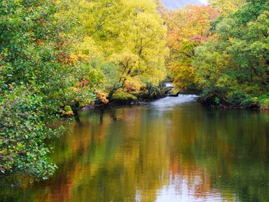 A river flowing through trees with autumn foliage at 4 Ty Person in Braichmelyn near Bethesda
