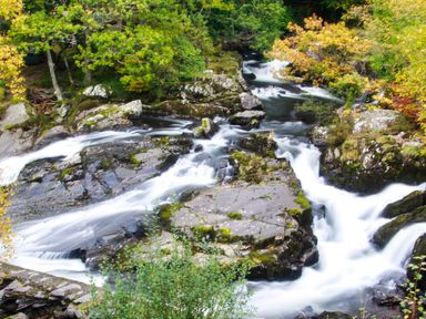 A river flowing over rocks surrounded by trees with green and yellow leaves at 4 Ty Person in Braichmelyn near Bethesda