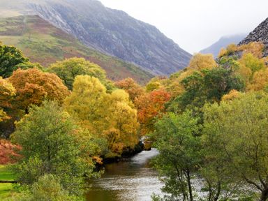 A river flowing through a forest with trees in autumn colors and mountains in the background at 4 Ty Person in Braichmelyn near Bethesda