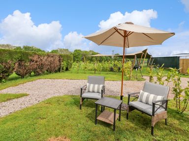 An outdoor seating area with two chairs a small table and a large umbrella on grass with a hedge and plants in the background at Moel Y Parc Bryniau Clwyd near Denbigh