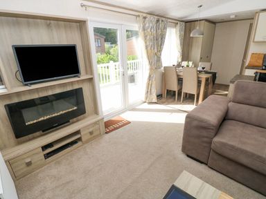 A living room with a brown sofa a television above an electric fireplace and a dining table with chairs at 116 Woodpecker Lodge in Gilfachrheda near Llanarth
