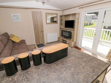 A living area with a brown sofa a wooden door a TV on a wooden stand and glass doors leading outside at 116 Woodpecker Lodge in Gilfachrheda near Llanarth