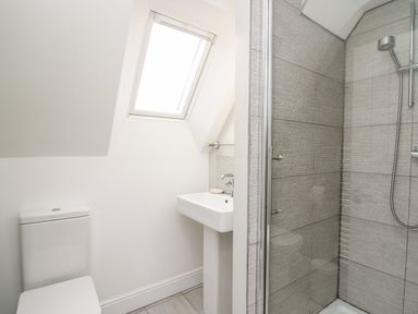 A bathroom with a toilet sink and a glass-enclosed shower at Upper Vestry in Llangrannog