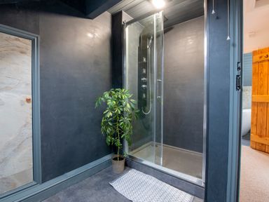 A shower area with glass doors a potted plant and a patterned rug at The Waterfall Retreat in Orton