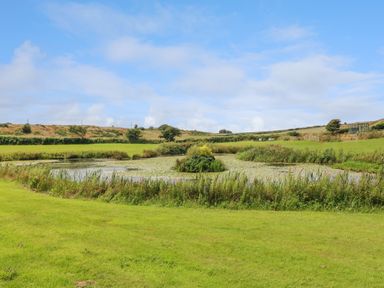 A grassy field with a pond in the middle surrounded by plants and hills in the background at Cae Gog Near Cemaes Bay