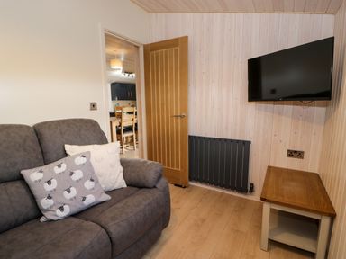 A small living room with a gray sofa and two pillows a wall-mounted TV a wooden door and a small table at Betsi Lodge 1 in Llanelidan near Corwen