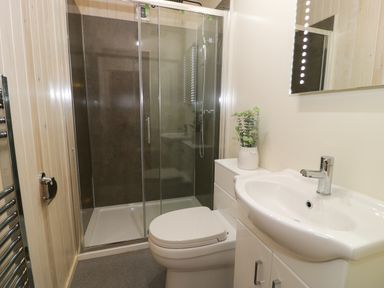 A bathroom with a shower enclosure toilet sink cabinet mirror and a plant in a vase at Betsi Lodge 1 in Llanelidan near Corwen