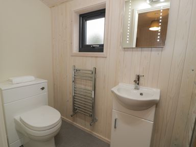 A bathroom with a toilet sink towel rail and mirror at Betsi Lodge 1 Llanelidan near Corwen