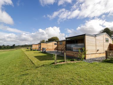 Wooden lodges on a grass lawn overlooking fields at Betsi (Lodge 1) in Llanelidan near Corwen