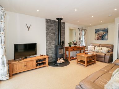 A living room with leather sofas wooden tables a television and a wood burning stove at Eden Lodge in Castlewigg near Whithorn
