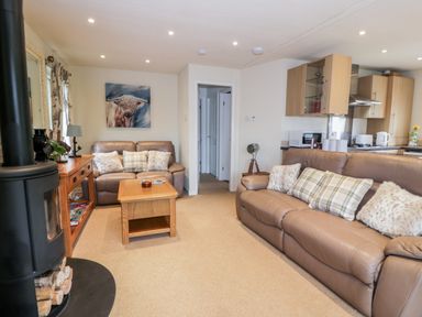 A living room with two leather sofas a wooden coffee table and a wood burning stove at Eden Lodge in Castlewigg near Whithorn