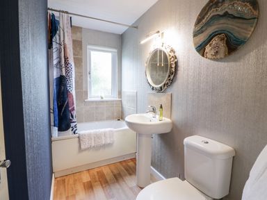 A bathroom with a bathtub a shower curtain a window a pedestal sink with a mirror above and a toilet at Eden Lodge Castlewigg near Whithorn