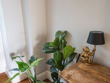 A corner of a room with two potted plants and a wooden table with a monkey-shaped lamp at Charmouth Lodge in Charmouth