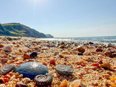 A rocky beach with pebbles and fossils with cliffs and the sea in the background at Charmouth Lodge in Charmouth
