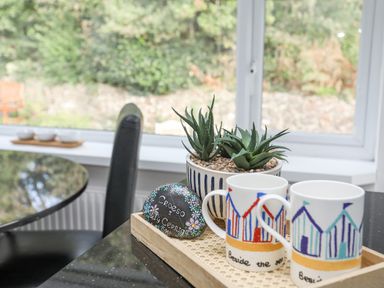 Two mugs and a potted plant on a tray on a kitchen counter near a window at Ty Cerrig in Llanbedrog