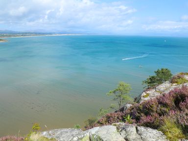 A coastal view with rocks trees and heather near the water at Ty Cerrig in Llanbedrog