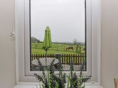 A window looking out onto a fenced garden with a round wooden table and closed green umbrella with horses grazing in the background at Myrtle Cottage in St Brides-Super-Ely