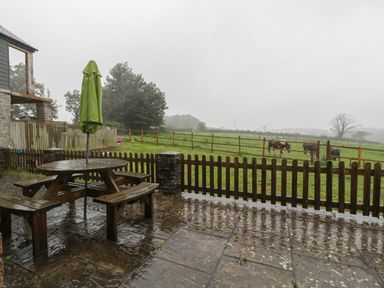 A wet patio with a wooden picnic table and closed green umbrella overlooking a fenced grassy field with horses at Myrtle Cottage in St Brides-Super-Ely